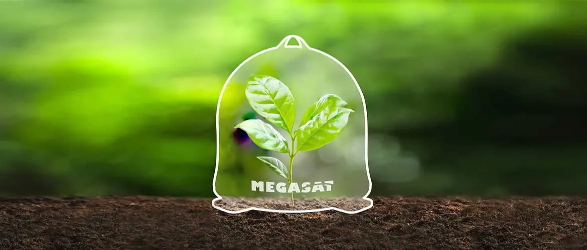 news_megasat_forstet_auf
