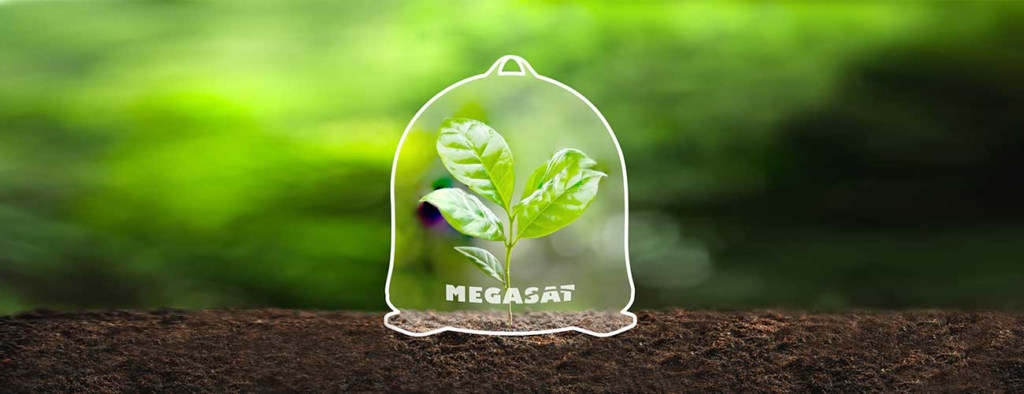 Megasat forstet auf